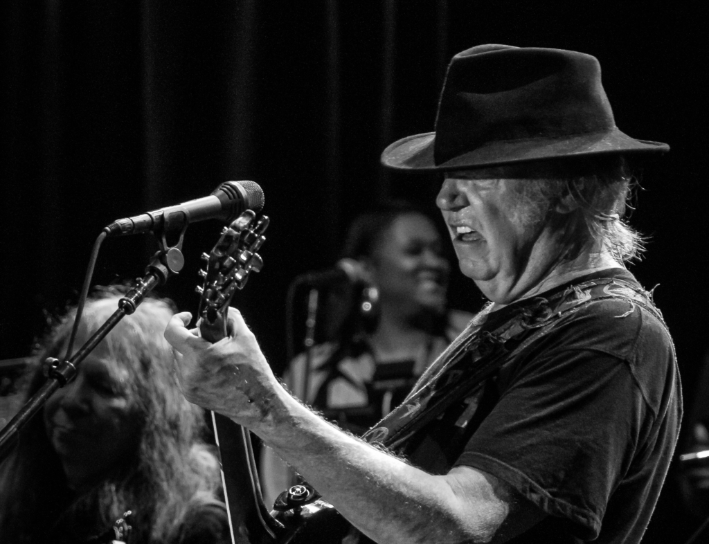 neil young joe rogan spotify neil young joe rogan spotify