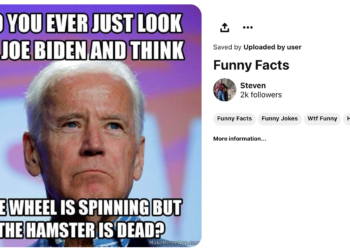 Judge the Meme . . .