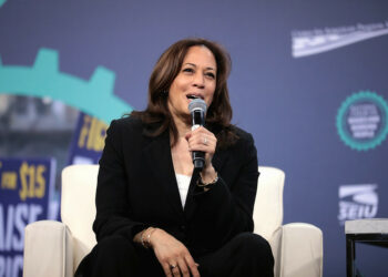 Are you glad Kamala finally has a job to do?