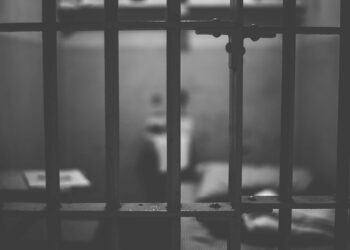 Was the 20 year sentence of Ghislaine Maxwell fair or too light?