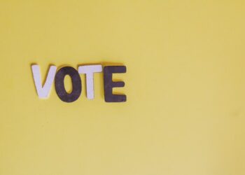 Should Illegals Be Allowed To Vote Like Biden Wants?