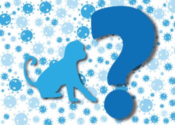 Who’s primarily to blame for spreading monkeypox?
