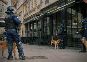 Fire the CNN correspondent comparing Bin Laden to MAGA?