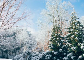 Are you happier in summer or winter?