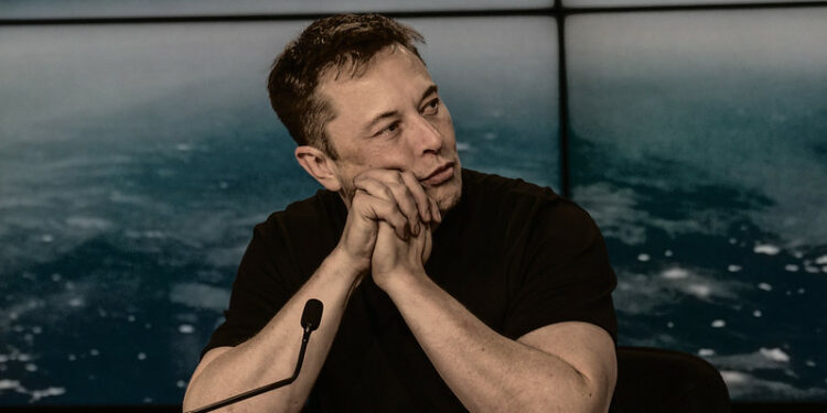 Did Elon Musk truly can Rahul Ligma or was the MSM trolled?