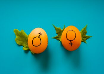 Is gender affirmation of minors a nice way to say child mutilation?