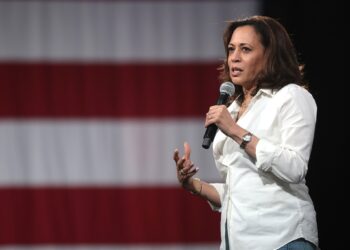 Is Kamala Harris Doing A Good Job?