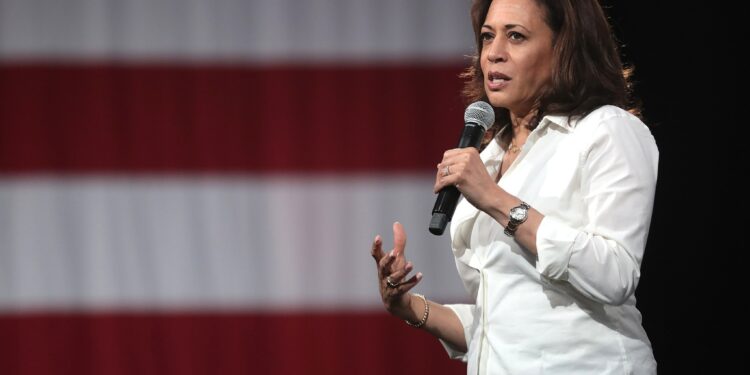 Is Kamala Harris Doing A Good Job?