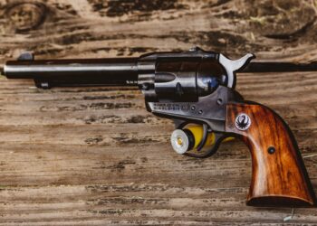 Do You Support Biden Passing Stricter Gun Laws?