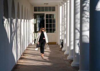 Melania Trump Calls For Gun Control?