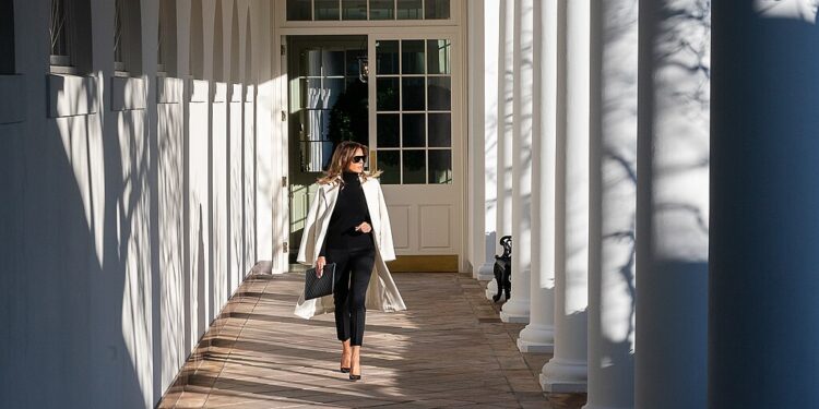 Melania Trump Calls For Gun Control?