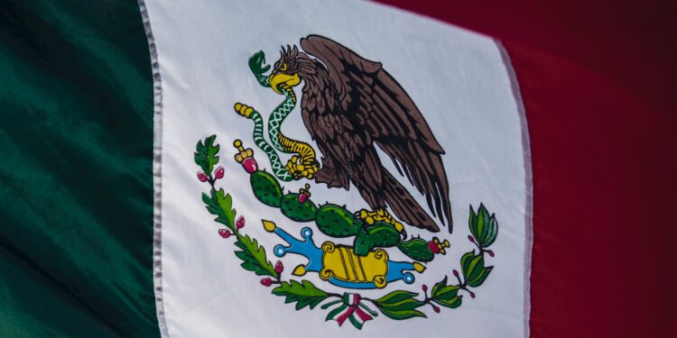 Mexico Stops Shipping Packages To US, Is Trump To Blame?