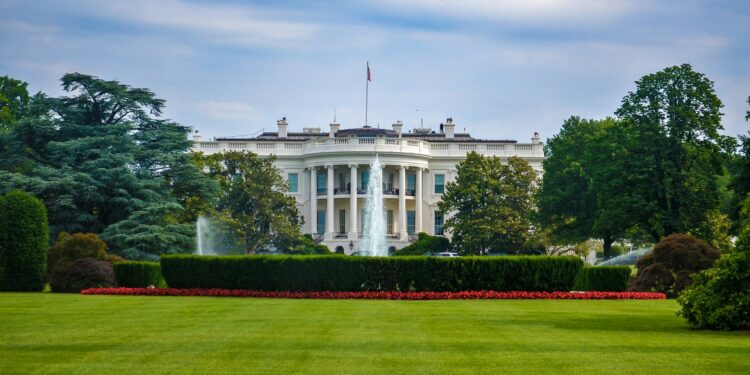 Trump Calls For White House Fist Fight