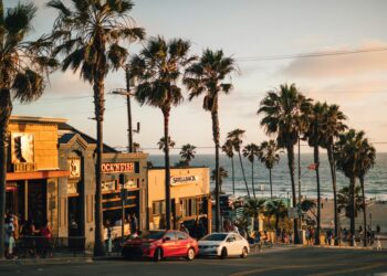 Top Blue State Loses Their Own Supporters