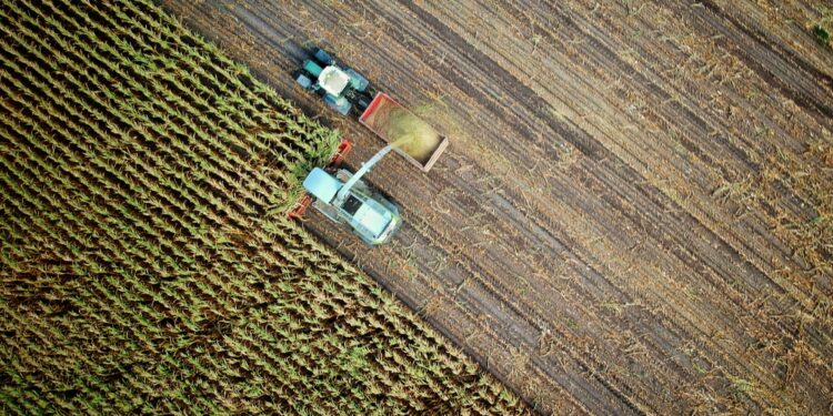 American Farmers Turn Against Trump