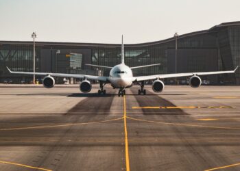 Trump DHS Causes US Travel Panic