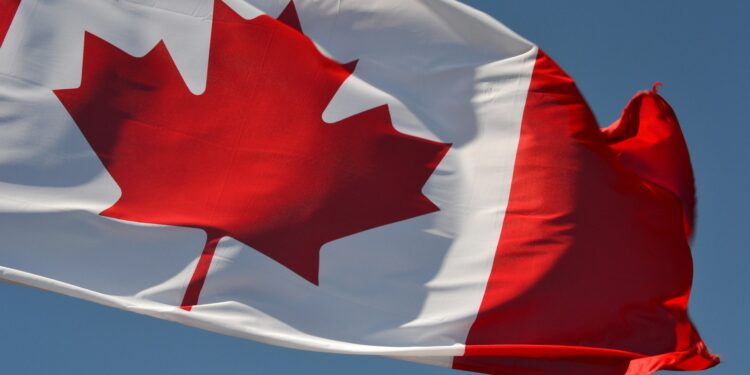 Can Trump Win The Trade War Against Canada?